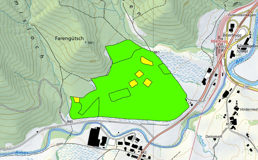 swisstopo national map showing the protected perimeter of Witi (Raised bog)