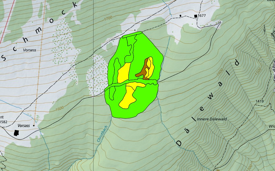 Landeskarte swisstopo mit dem Schutzperimeter von Witiwald/Dälenwald (Hochmoor)