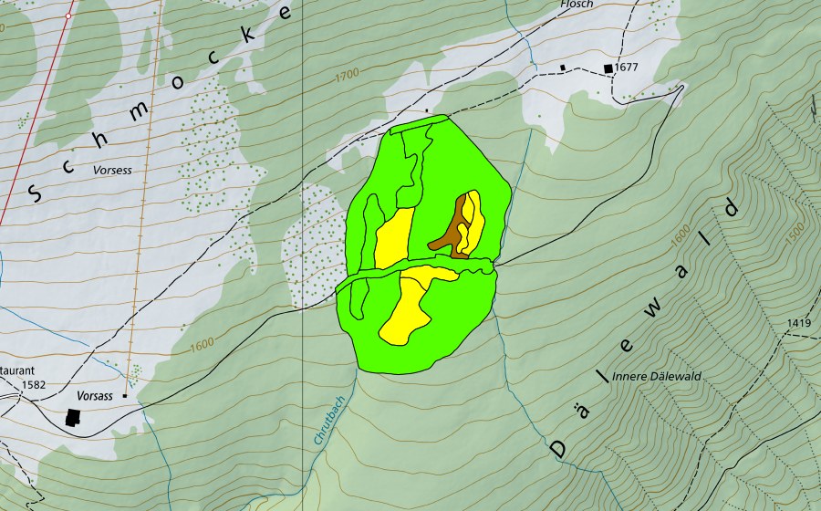 swisstopo national map showing the protected perimeter of Witiwald/Dälenwald (Raised bog)