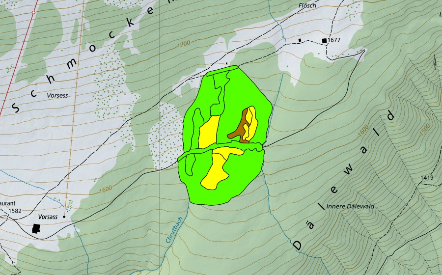 swisstopo national map showing the protected perimeter of Witiwald/Dälenwald (Raised bog)