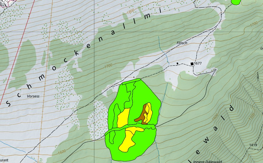 Carte nationale swisstopo avec le périmètre protégé de Witiwald/Dälenwald (Haut-marais)