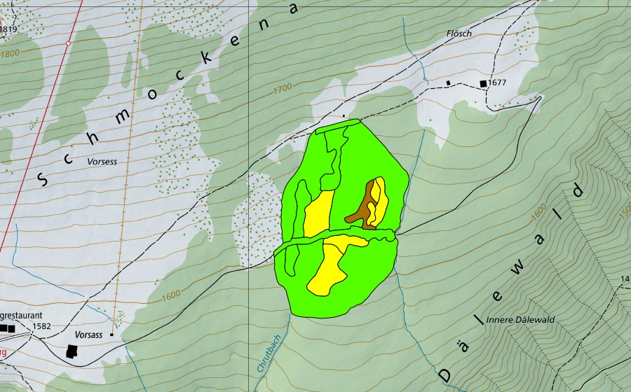 swisstopo national map showing the protected perimeter of Witiwald/Dälenwald (Raised bog)