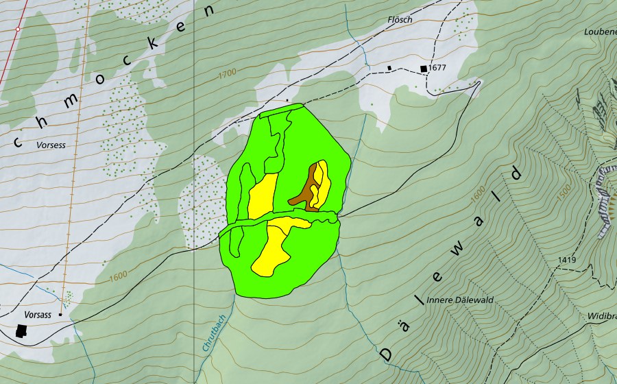 swisstopo national map showing the protected perimeter of Witiwald/Dälenwald (Raised bog)