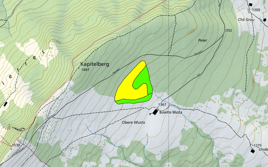 Landeskarte swisstopo mit dem Schutzperimeter von Wusta (Hochmoor)