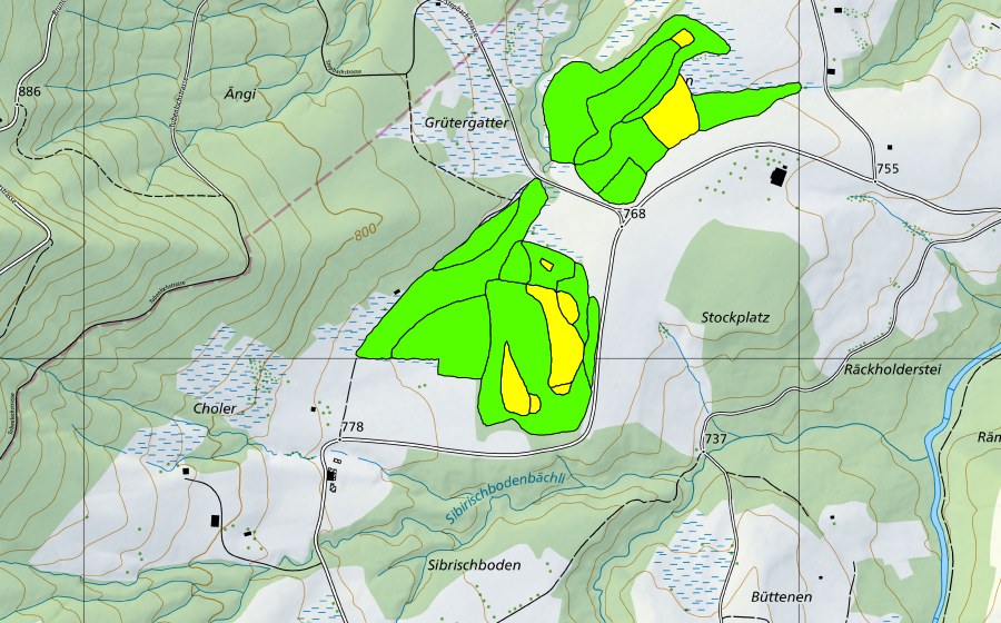 swisstopo national map showing the protected perimeter of Zigermoos (Raised bog)