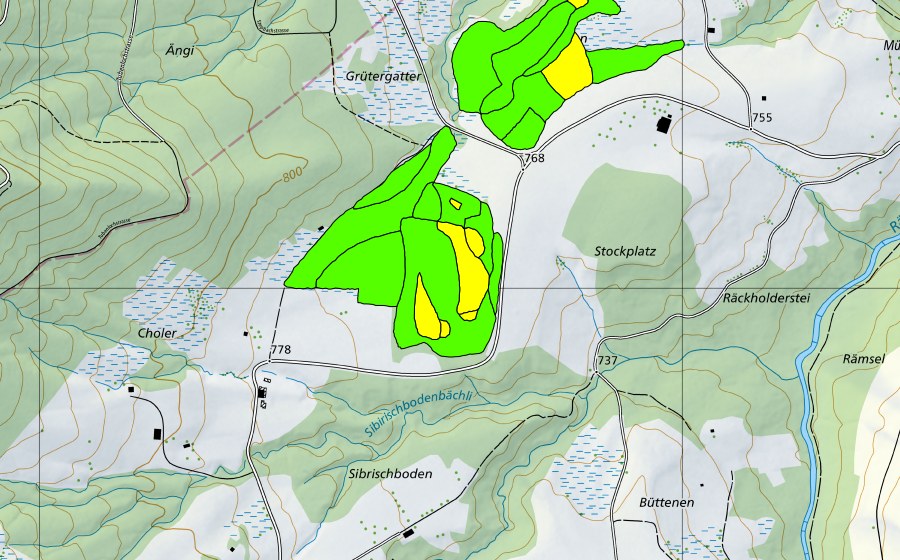 swisstopo national map showing the protected perimeter of Zigermoos (Raised bog)