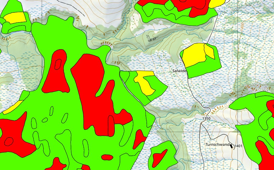 Landeskarte swisstopo mit dem Schutzperimeter von Zopf (Hochmoor)