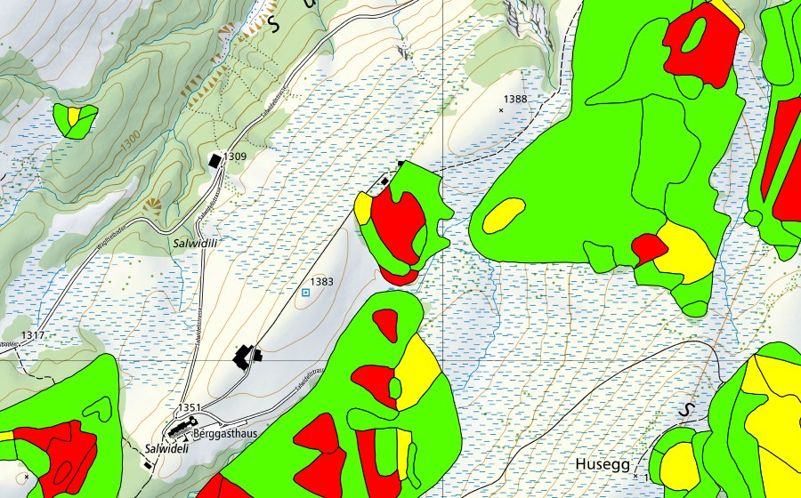 Landeskarte swisstopo mit dem Schutzperimeter von Zopf/Salwiden (Hochmoor)