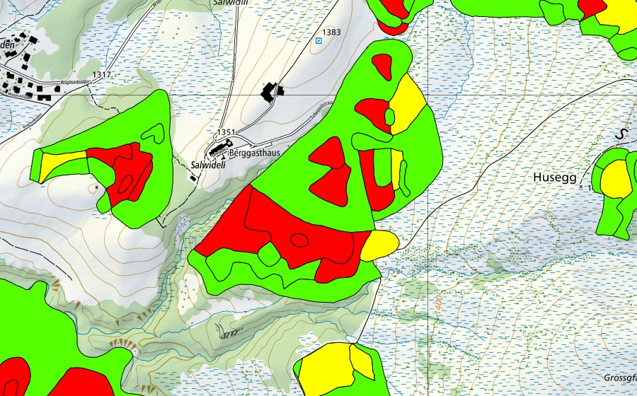 Landeskarte swisstopo mit dem Schutzperimeter von Zopf/Salwiden (Hochmoor)