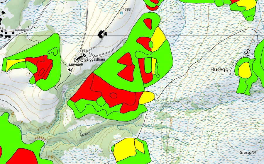 swisstopo national map showing the protected perimeter of Zopf/Salwiden (Raised bog)