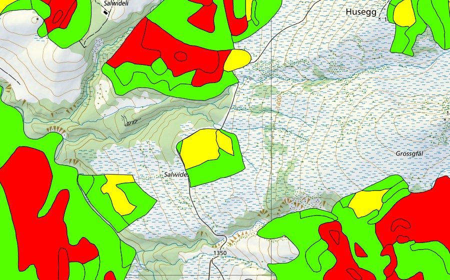 Landeskarte swisstopo mit dem Schutzperimeter von Zopf (Hochmoor)