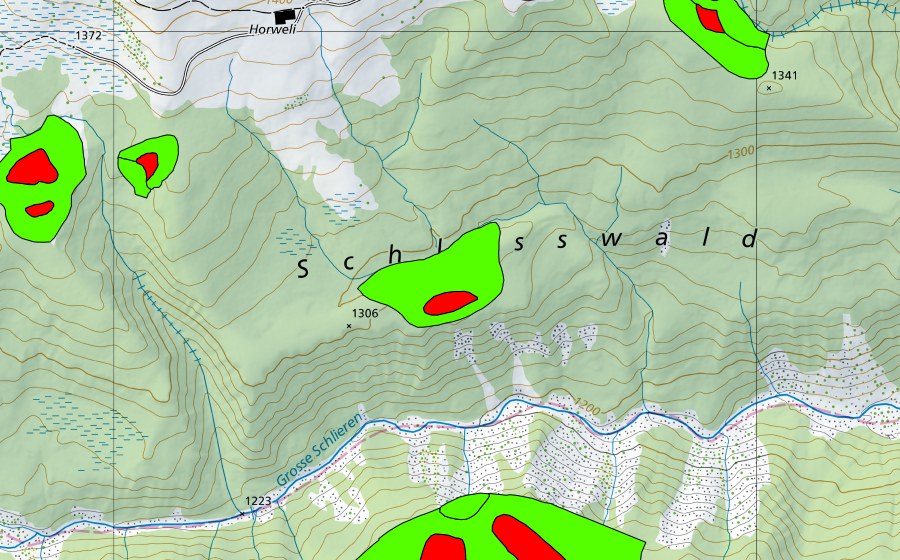 Carte nationale swisstopo avec le périmètre protégé de Zwischen Horweli und der Grossen Schliere (Haut-marais)