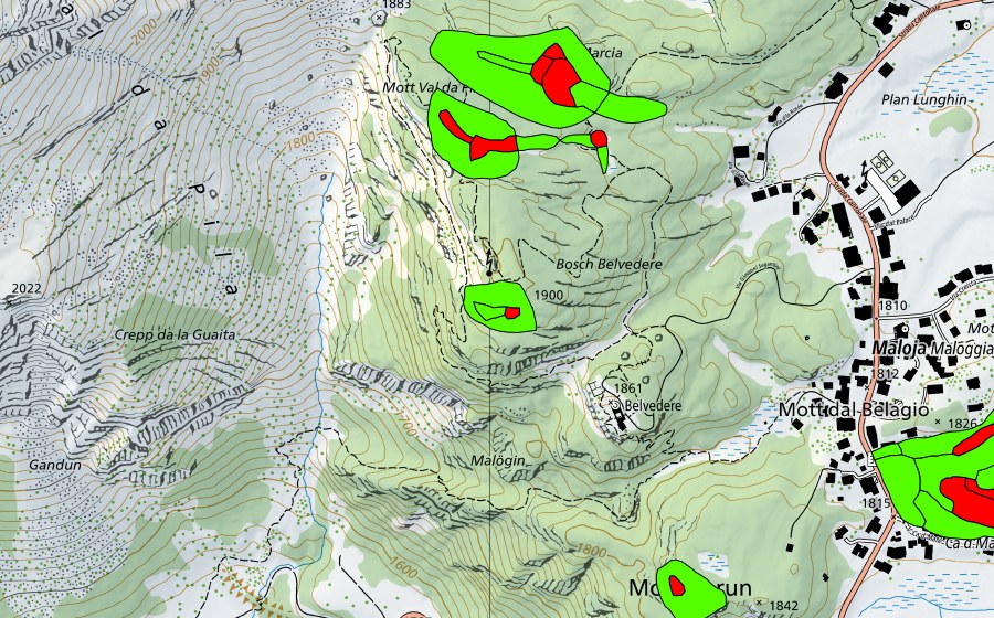 Landeskarte swisstopo mit dem Schutzperimeter von Zwischen Malojapass und Val da Pila (Malojariegel) (Hochmoor)