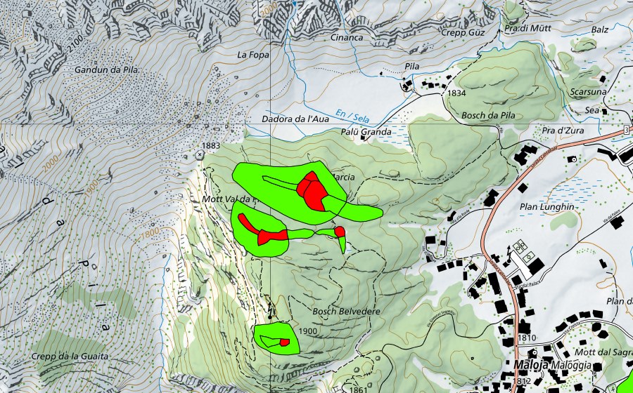 swisstopo national map showing the protected perimeter of Zwischen Malojapass und Val da Pila (Malojariegel) (Raised bog)