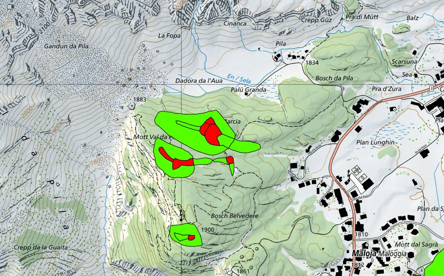 swisstopo national map showing the protected perimeter of Zwischen Malojapass und Val da Pila (Malojariegel) (Raised bog)