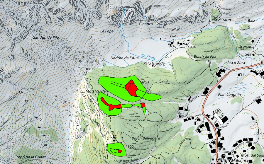 Carte nationale swisstopo avec le périmètre protégé de Zwischen Malojapass und Val da Pila (Malojariegel) (Haut-marais)