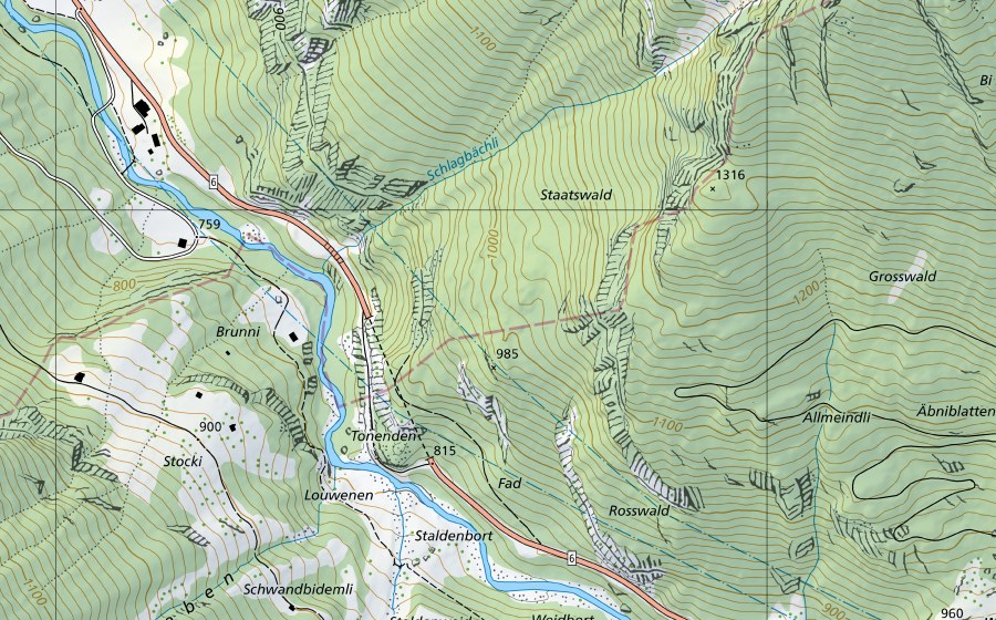 Landeskarte swisstopo mit dem Schutzperimeter von Aare-Brienzwiler (Hydromessstation)