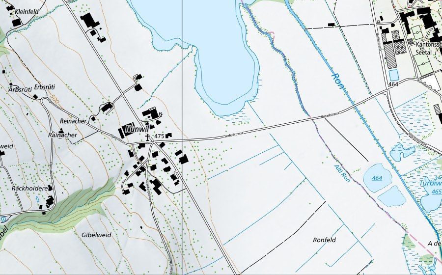Landeskarte swisstopo mit dem Schutzperimeter von Baldeggersee-Gelfingen (Hydromessstation)
