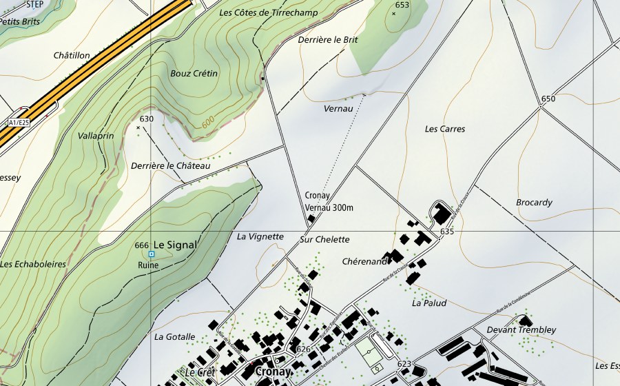 swisstopo national map showing the protected perimeter of Lac de Neuchâtel-Grandson (Hydrological station)