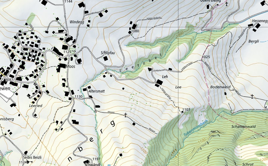 swisstopo national map showing the protected perimeter of Minster-Euthal, Rüti (Hydrological station)