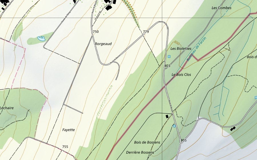 Landeskarte swisstopo mit dem Schutzperimeter von Murtensee-Murten (Hydromessstation)