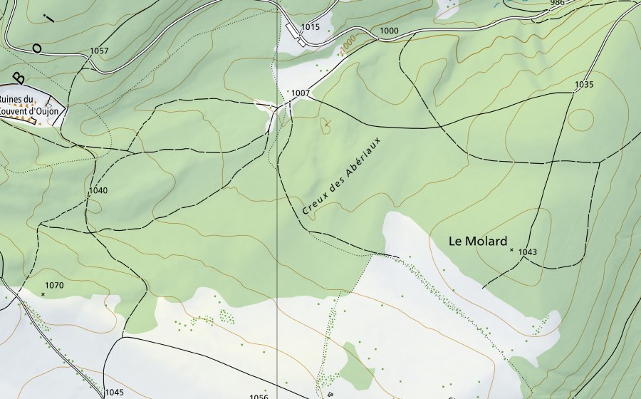 Carte nationale swisstopo avec le périmètre protégé de Promenthouse-Gland, Route Suisse (Station hydrométrique)