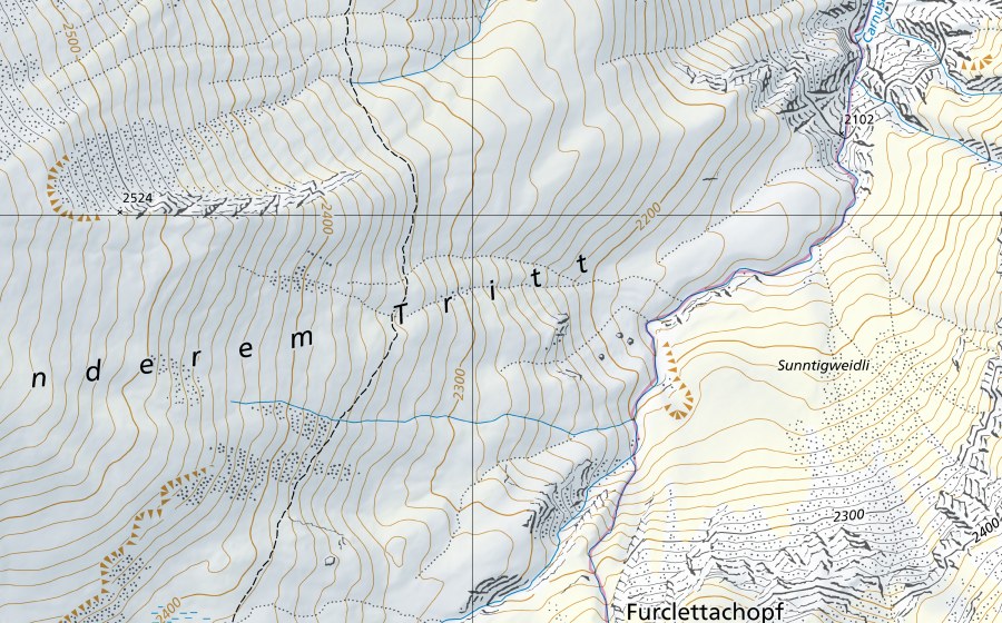Carta nazionale swisstopo con il perimetro protetto di Rhein-Domat/Ems (Stazione idrometrica)