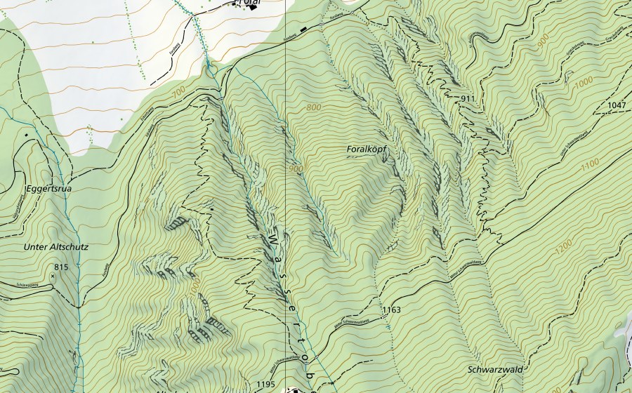 Carte nationale swisstopo avec le périmètre protégé de Rhein-Oberriet, Blatten (Station hydrométrique)