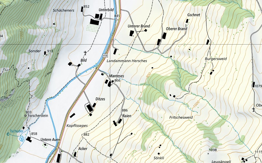 Carta nazionale swisstopo con il perimetro protetto di Rhein (Oberwasser)-Rheinau (Stazione idrometrica)