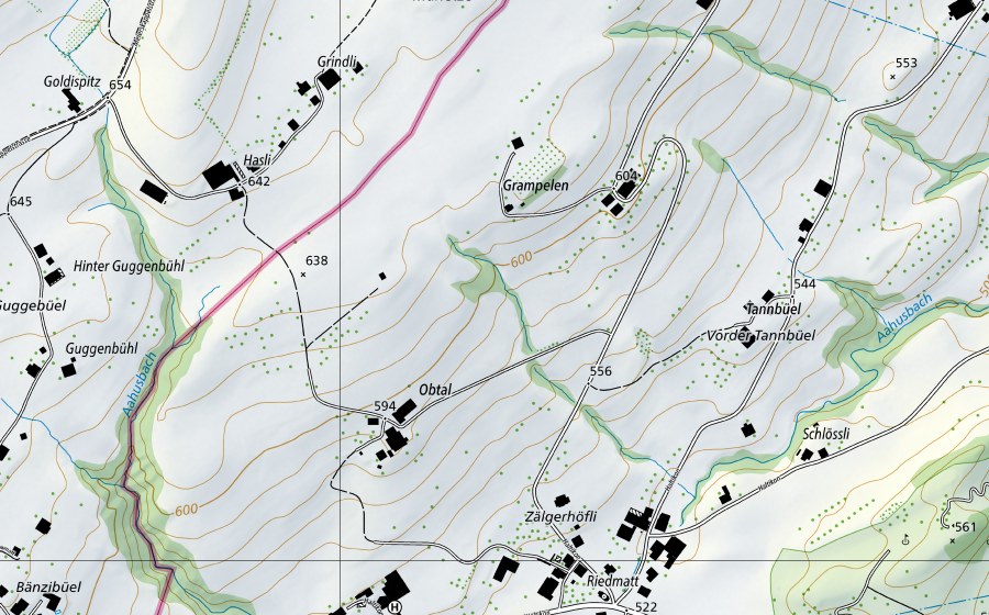 swisstopo national map showing the protected perimeter of Rhein-Weil, Palmrainbrücke (Hydrological station)
