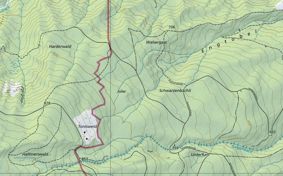 Carte nationale swisstopo avec le périmètre protégé de Rheintaler Binnenkan-St. Margrethen (Station hydrométrique)