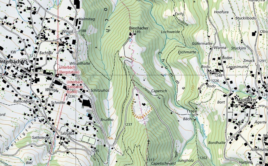 Carte nationale swisstopo avec le périmètre protégé de Rhône-Branson (Station hydrométrique)