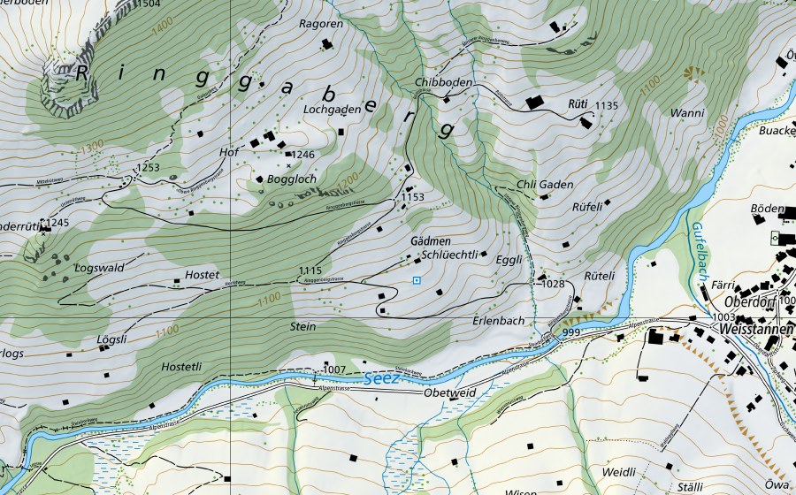 Carte nationale swisstopo avec le périmètre protégé de Seez-Mels (Station hydrométrique)