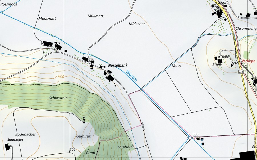 Landeskarte swisstopo mit dem Schutzperimeter von Worble-Ittigen (Hydromessstation)
