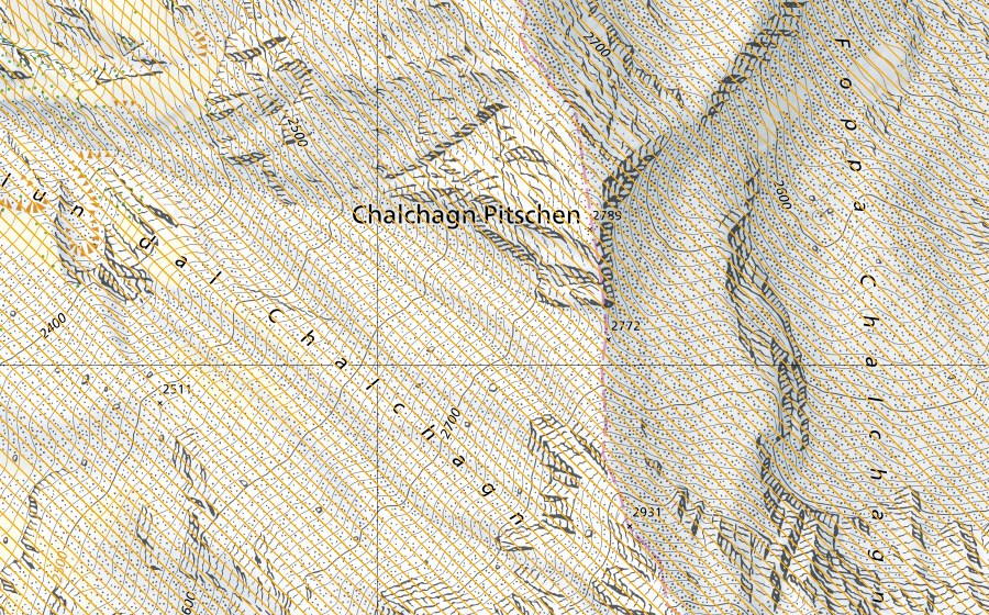 Landeskarte swisstopo mit dem Schutzperimeter von Bernina-Albris (Jagdbanngebiet)