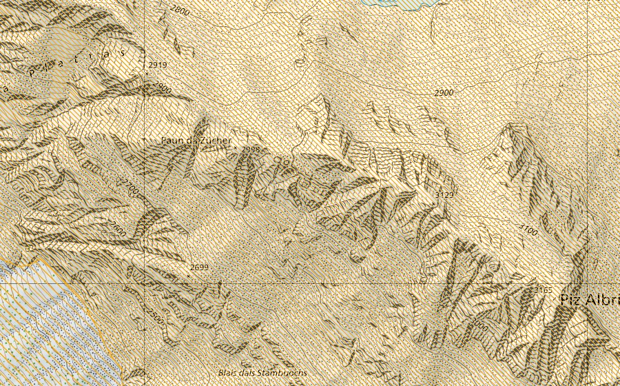 Landeskarte swisstopo mit dem Schutzperimeter von Bernina-Albris (Jagdbanngebiet)