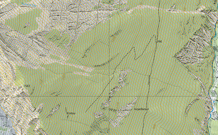 Landeskarte swisstopo mit dem Schutzperimeter von Haut de Cry/Derborence (Jagdbanngebiet)