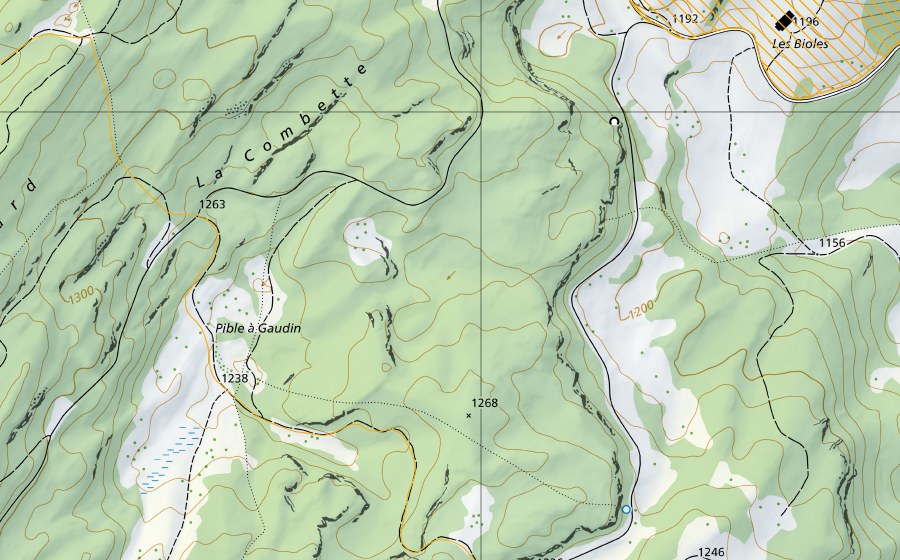 swisstopo national map showing the protected perimeter of Le Noirmont (Federal hunting reserve)