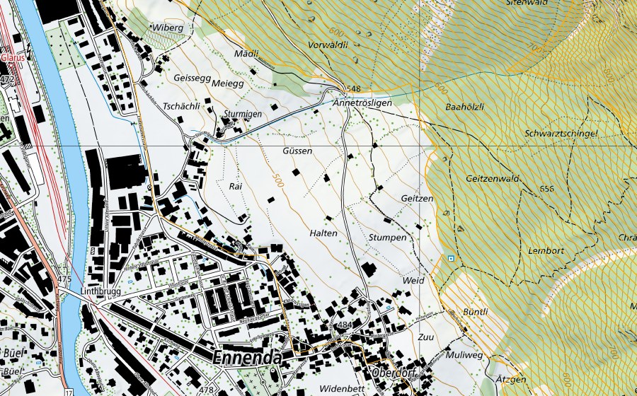 swisstopo national map showing the protected perimeter of Schilt (Federal hunting reserve)