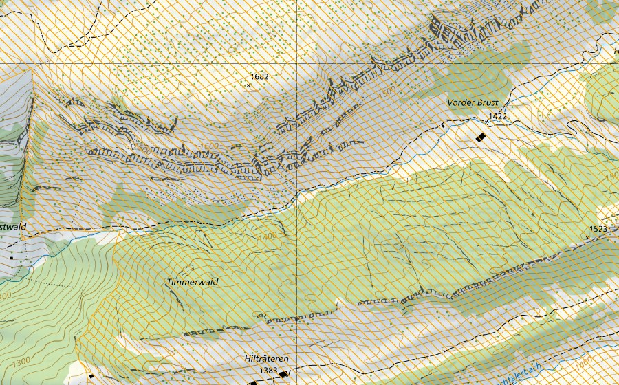 Carte nationale swisstopo avec le périmètre protégé de Silbern-Jägern-Bödmerenwald (District franc fédéral)
