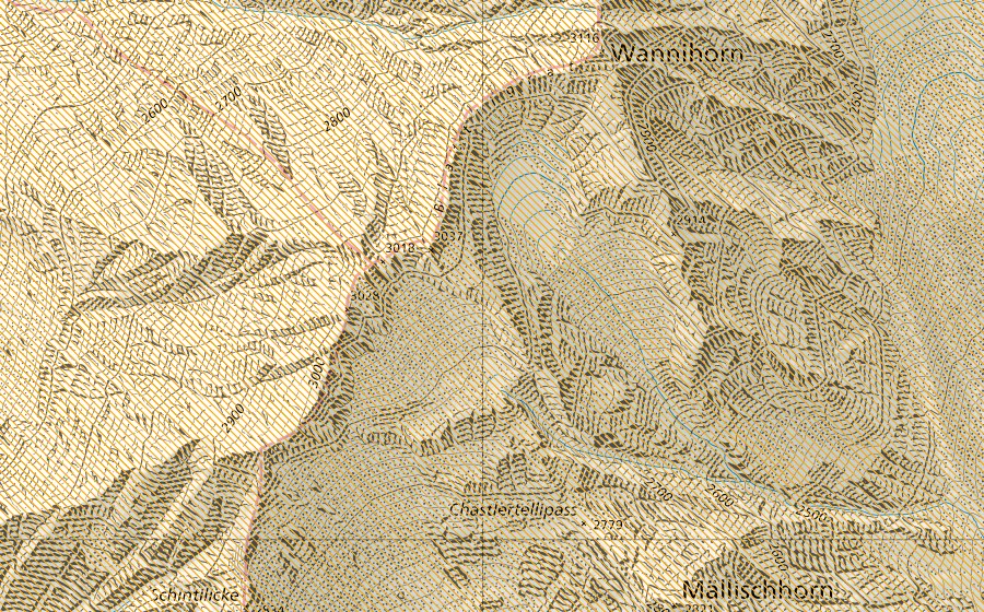 Landeskarte swisstopo mit dem Schutzperimeter von Wilerhorn (Jagdbanngebiet)