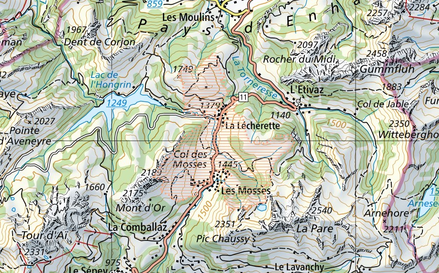 Carta nazionale swisstopo con il perimetro protetto di Col des Mosses/La Lécherette (Paesaggio palustre)