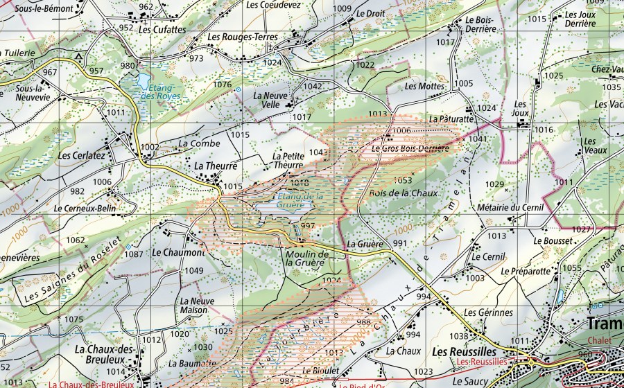 Carte nationale swisstopo avec le périmètre protégé de Etang de la Gruère (Paysage marécageux)