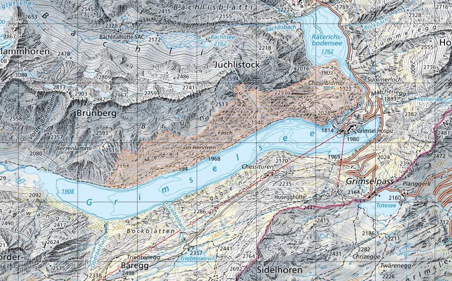 Carte nationale swisstopo avec le périmètre protégé de Grimsel (Paysage marécageux)