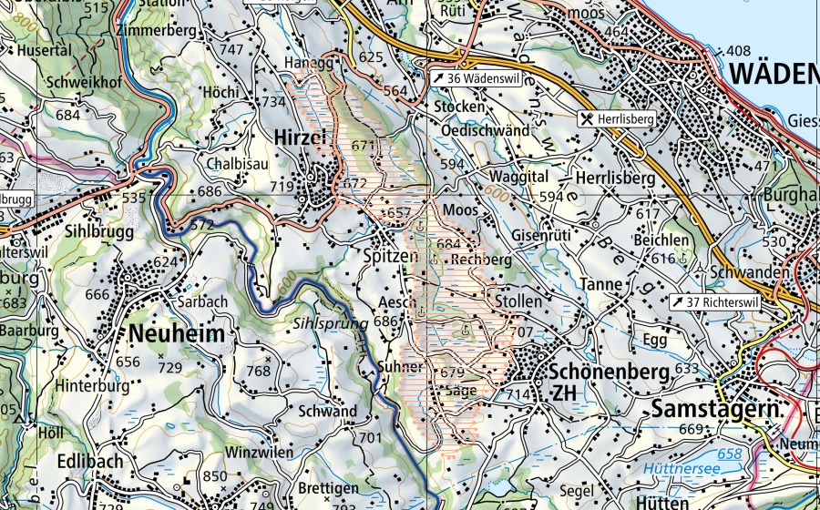 Landeskarte swisstopo mit dem Schutzperimeter von Hirzel (Moorlandschaft)