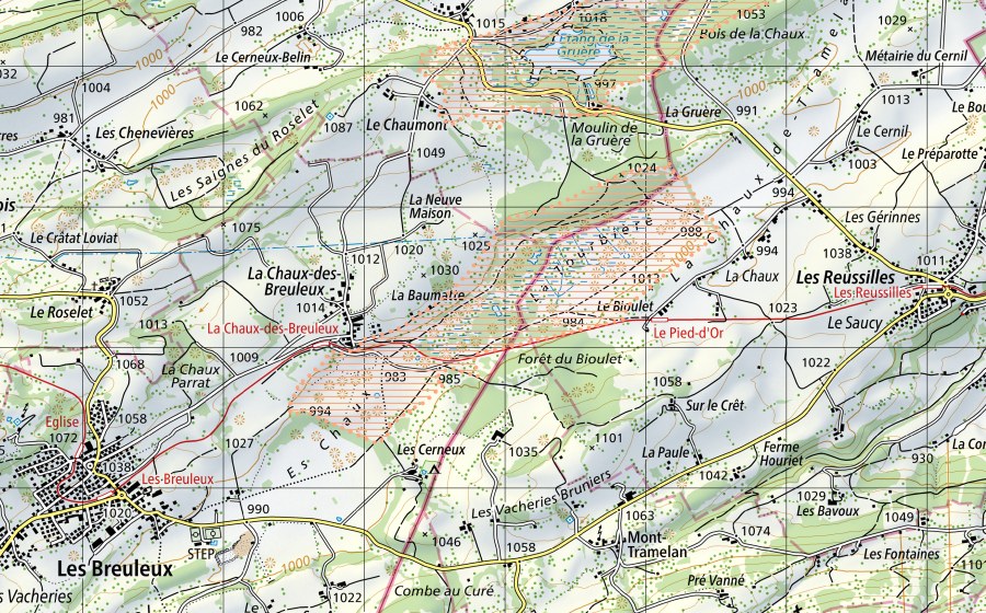 Landeskarte swisstopo mit dem Schutzperimeter von La Chaux-des-Breuleux (Moorlandschaft)