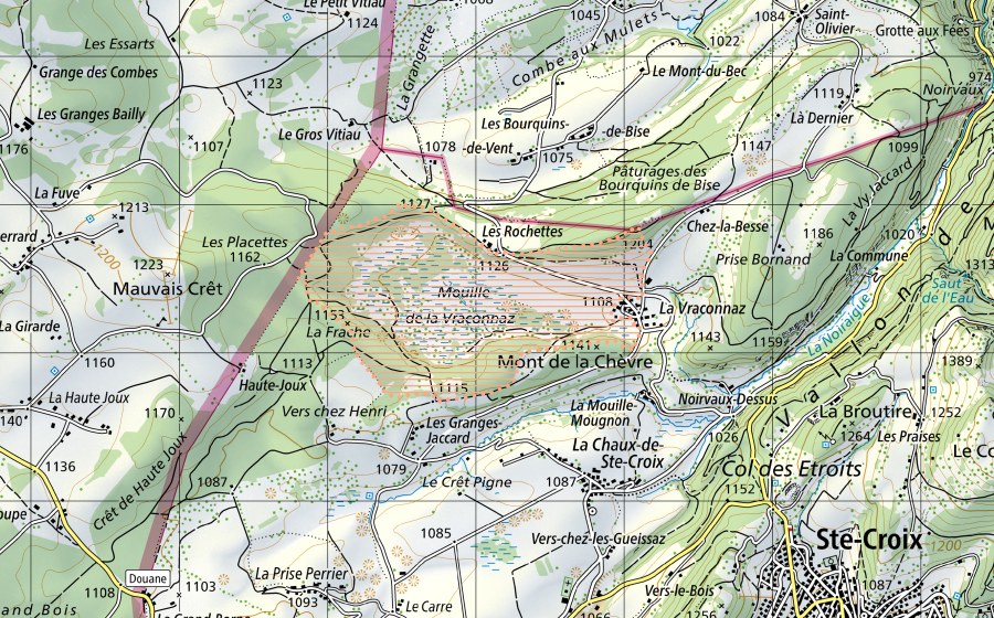 Carta nazionale swisstopo con il perimetro protetto di La Vraconnaz (Paesaggio palustre)