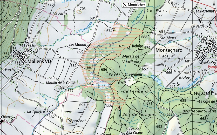 Landeskarte swisstopo mit dem Schutzperimeter von Le Marais des Monod (Moorlandschaft)