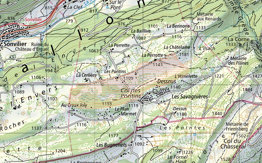 Carta nazionale swisstopo con il perimetro protetto di Les Pontins (Paesaggio palustre)