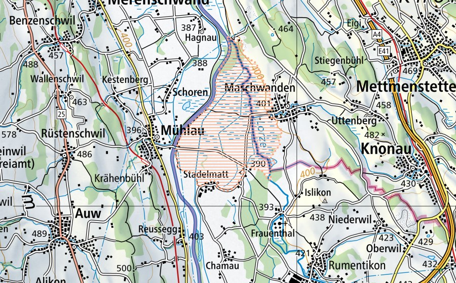 Carta nazionale swisstopo con il perimetro protetto di Maschwander Allmend (Paesaggio palustre)